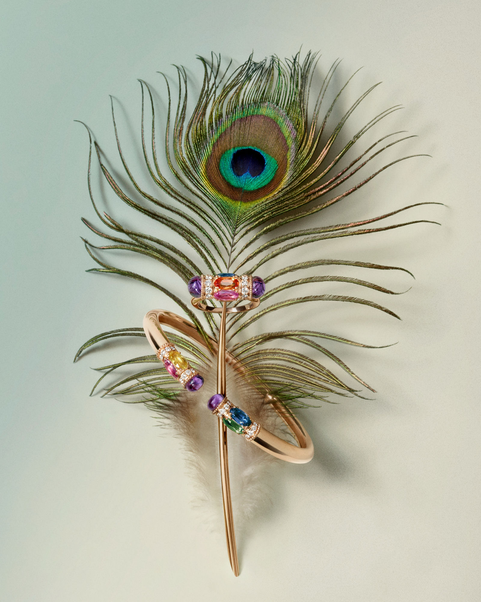 Gold jewel on a peacock feather