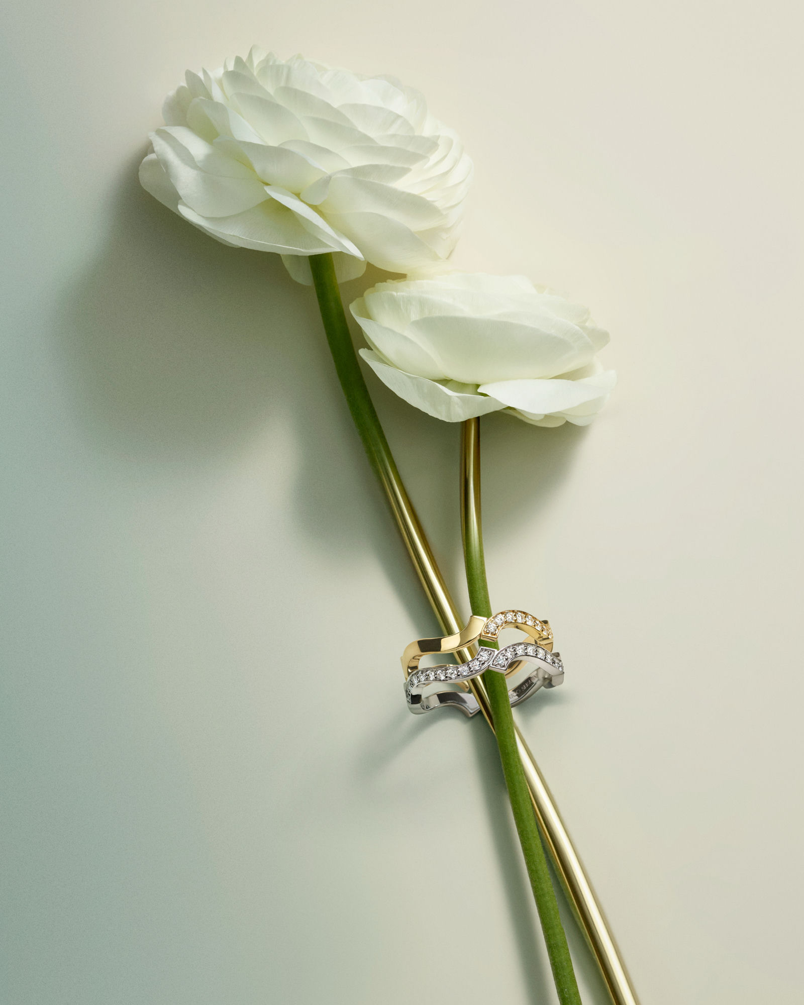 Bridal jewel with white roses